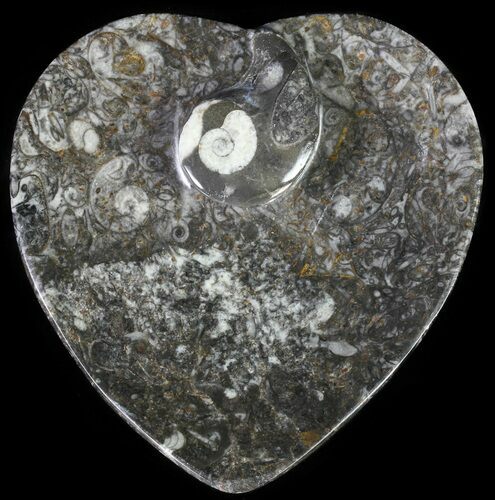 Heart Shaped Fossil Goniatite Dish #61263